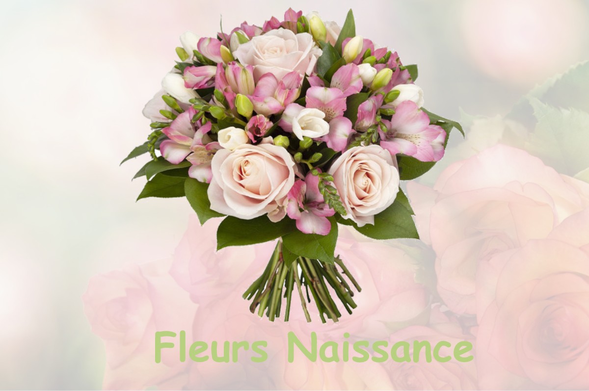 fleurs naissance SAINT-MARTIN-D-OLLIERES
