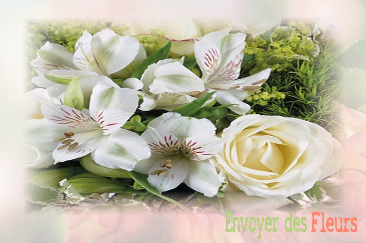 envoyer des fleurs à à SAINT-MARTIN-D-OLLIERES