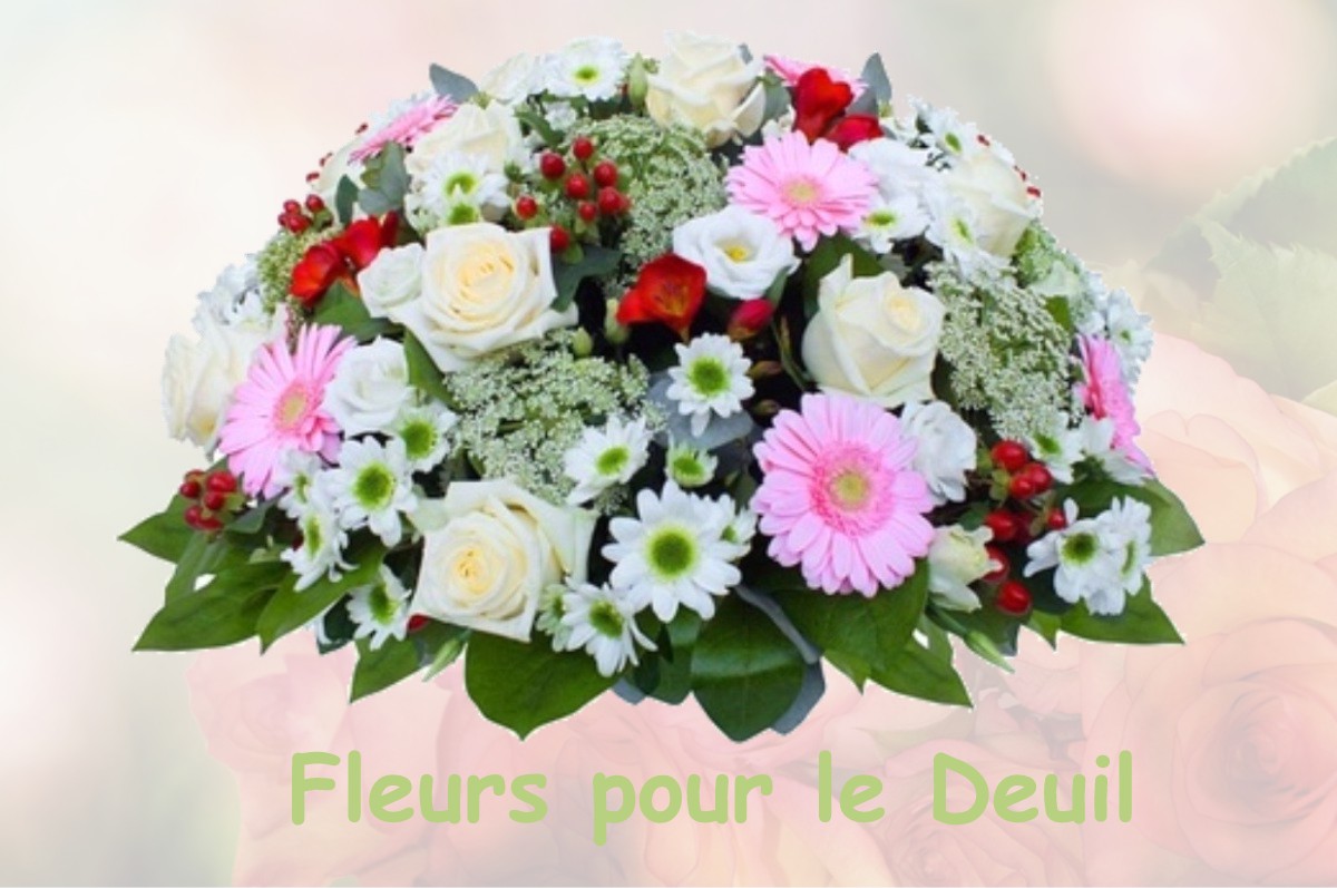 fleurs deuil SAINT-MARTIN-D-OLLIERES